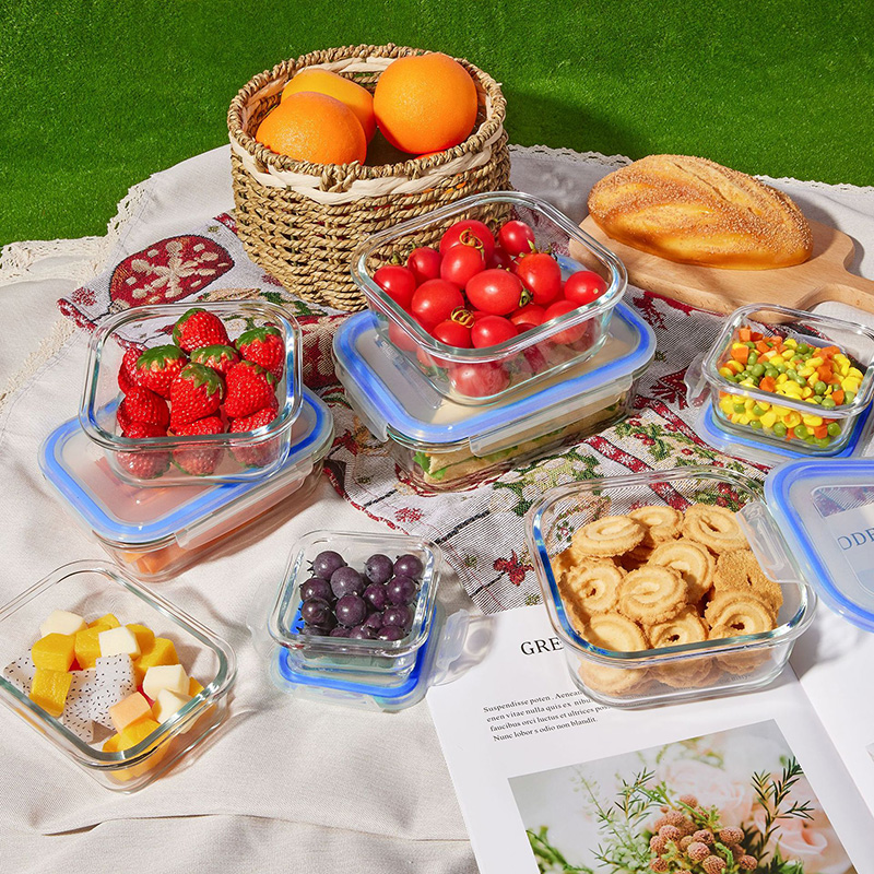 Glass Meal Prep Containers Lun - Food Storage Lunch Box review and price