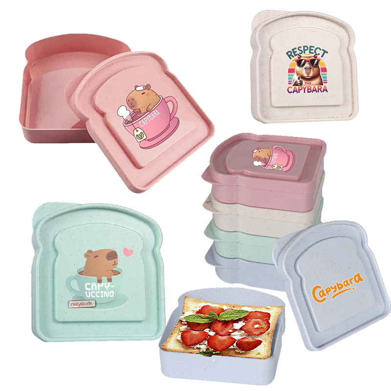 Capybara Sandwich Food Storage - Food Storage Lunch Box review and price