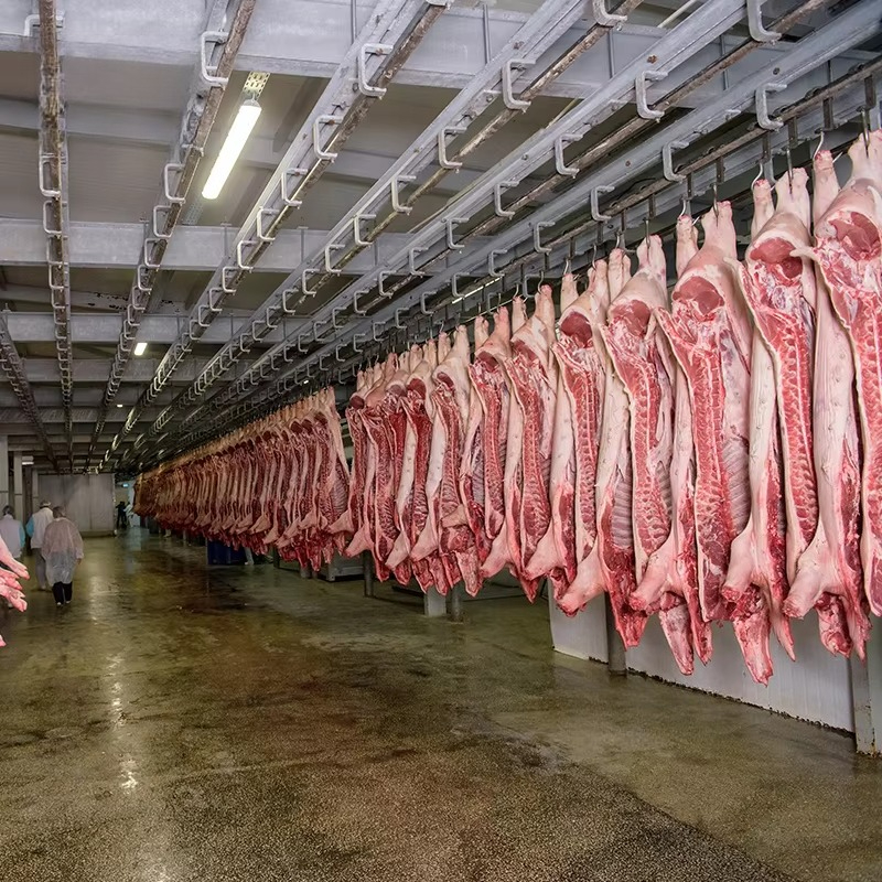 Cold Storage Room Slaughter Ho - Food Storage In Room review and price