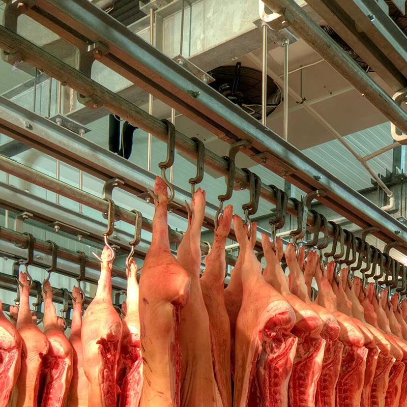 Cold Storage Room Slaughter Ho - Food Storage In Room review and price