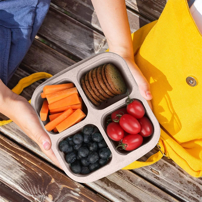 4 Grids Food Storage Box Porta - Food Storage Ideas review and price