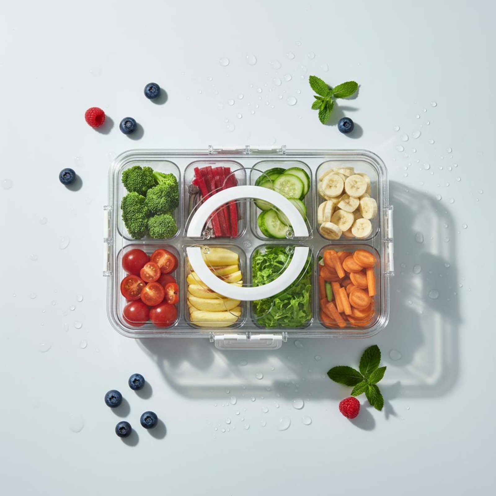 Refrigerator Storage Bin Drain - Food Storage Design review and price