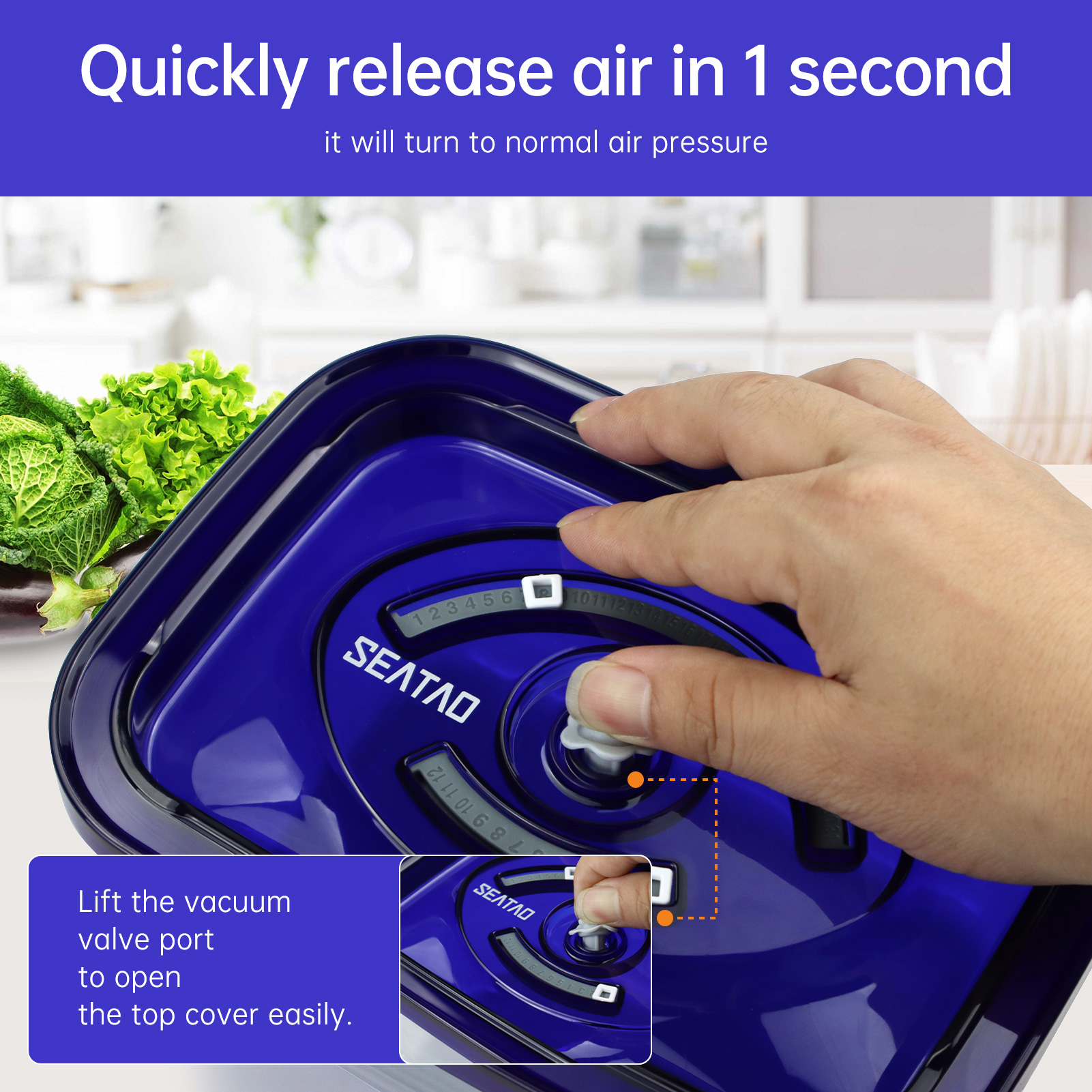 SEATAO Glass Food Storage Cont - Food Storage Vacuum review and price