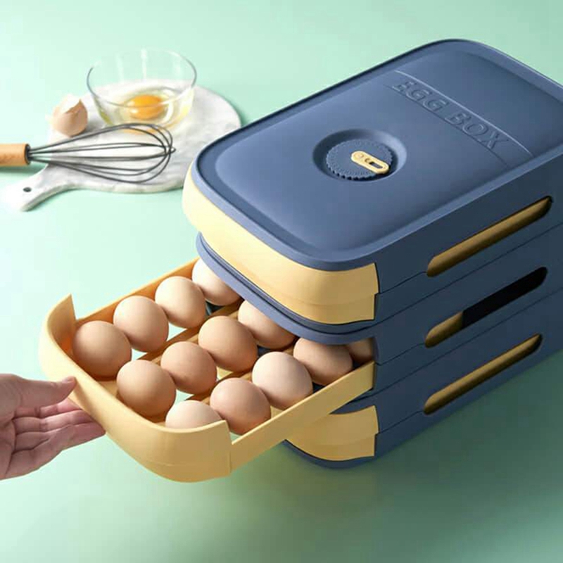 Egg Storage Container Refriger - Food Storage And Containers review and price