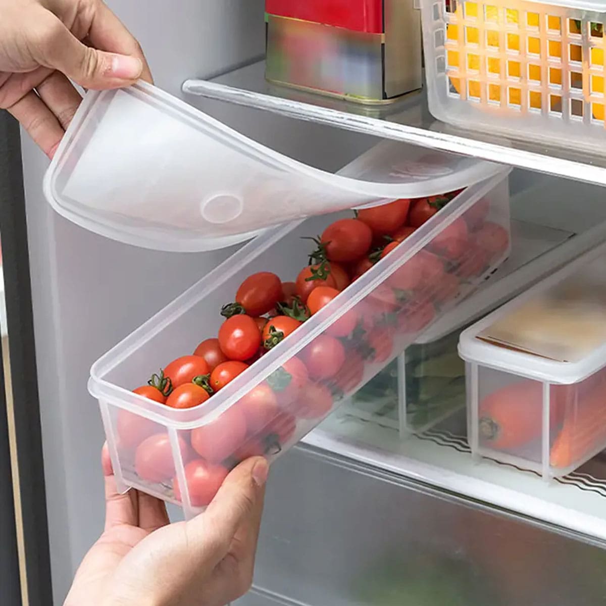 1 Plastic Transparent Storage  - Food Storage Ideas review and price