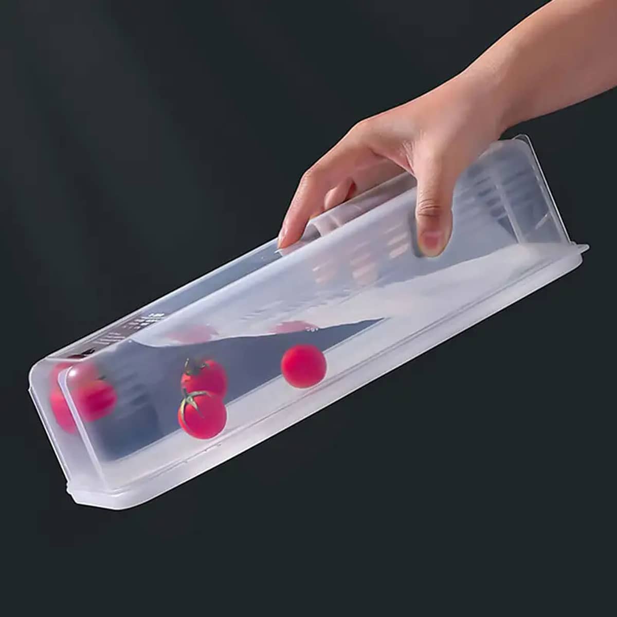 1 Plastic Transparent Storage  - Food Storage Ideas review and price